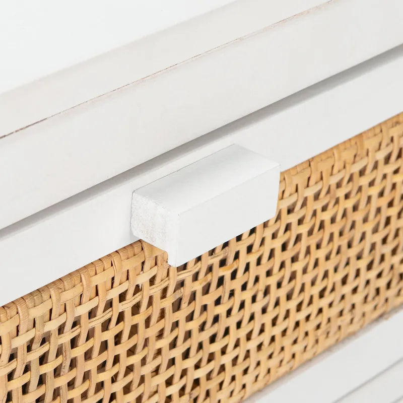 SAFAVIEH Zhane Coastal 1-Drawer 1-Door Nightstand